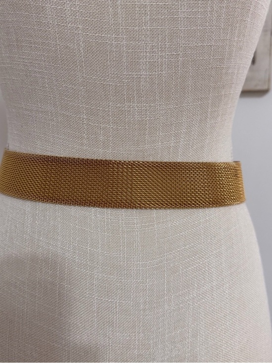Vintage Sarah Coventry Gold Mesh with Chain Waist Belt Designer Style main image 10
